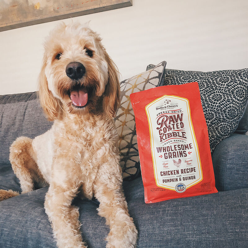 Stella & Chewy's Raw Coated Wholesome Grains Dry Dog Food, Chicken image number null