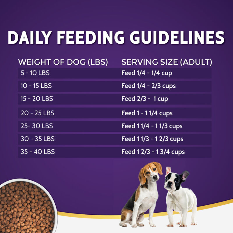 Zignature Limited Ingredient Dry Dog Food, Small Bites, Kangaroo, 4-lb image number null