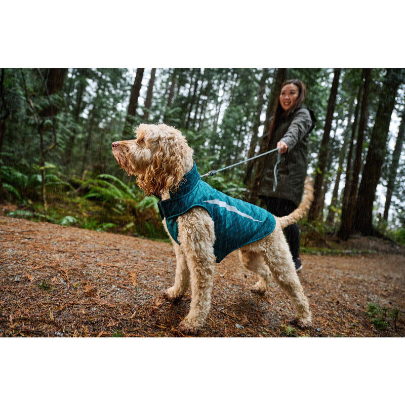 RC Pets Shasta Dog Coat, Teal Chevron, 16-in image number null