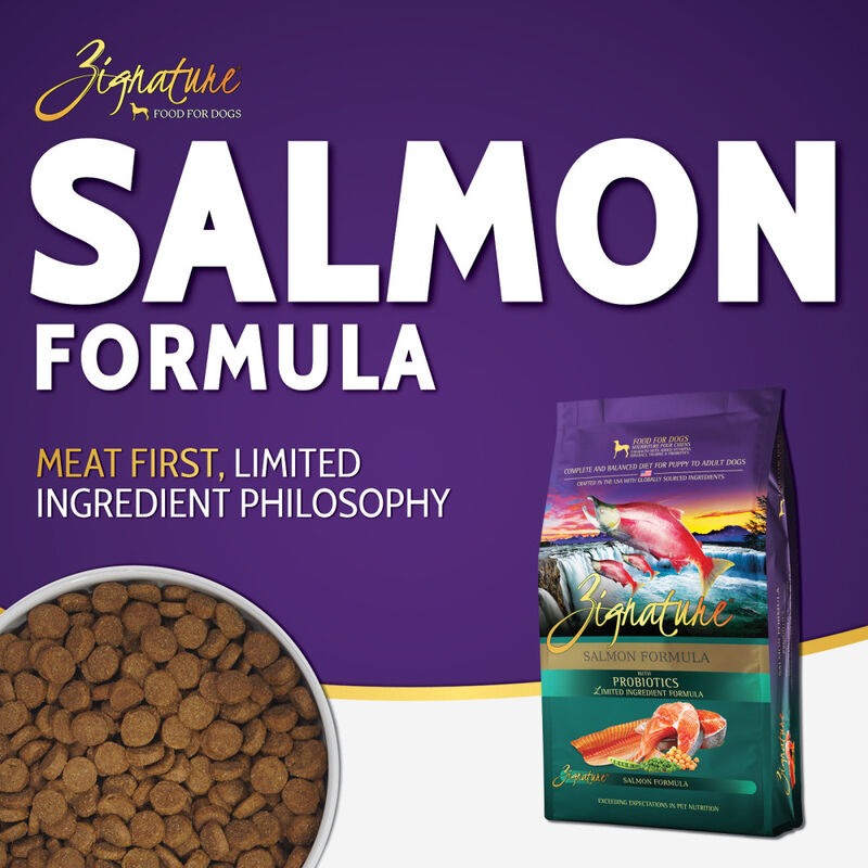 Zignature Limited Ingredient Dry Dog Food, Salmon image number null
