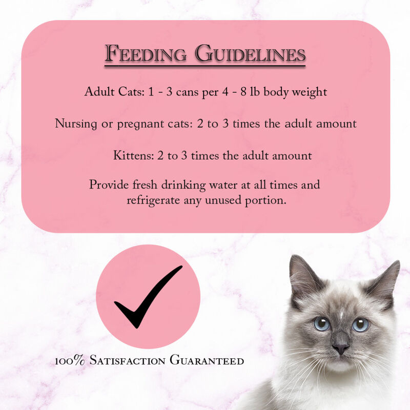 Fussie Cat Fine Dining Pate Canned Cat Food, Sardine image number null