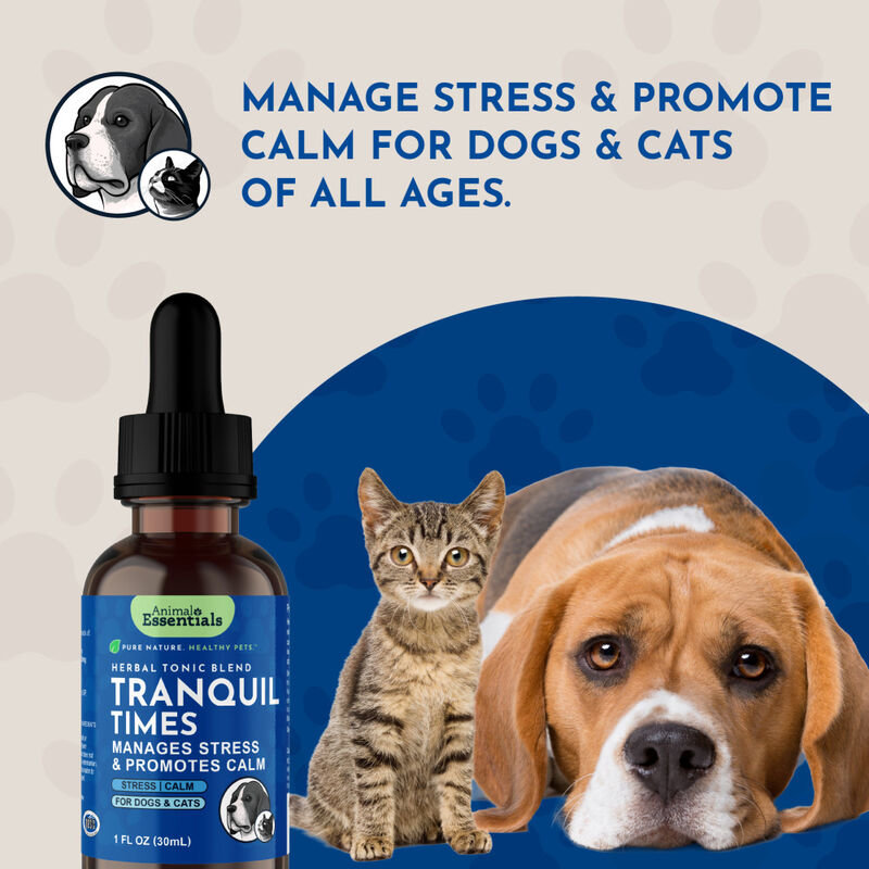 Animal Essentials Tranquility Blend Herbal Dog & Cat Supplement, 1-oz image number null