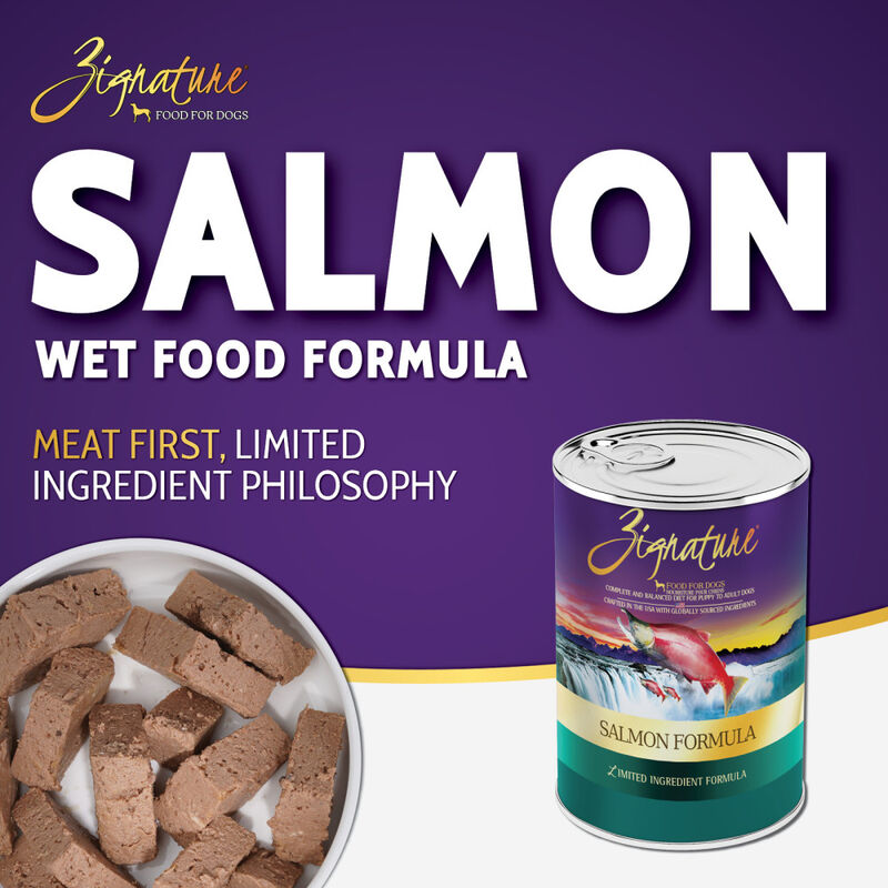 Zignature Limited Ingredient Canned Dog Food, Salmon, 13-oz image number null