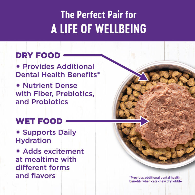 Wellness Complete Health Pate Canned Cat Food, Turkey & Salmon image number null