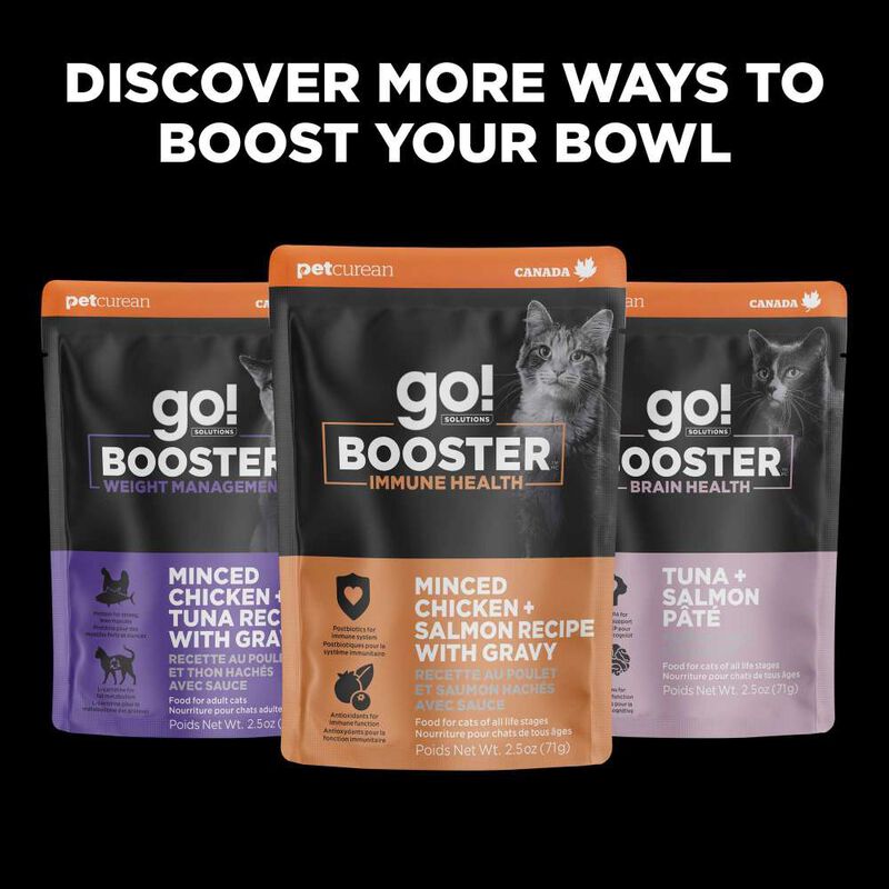 Go! Solutions Booster Wet Cat Food, Digestive Health, Minced Chicken & Duck with Gravy, 2.5-oz image number null