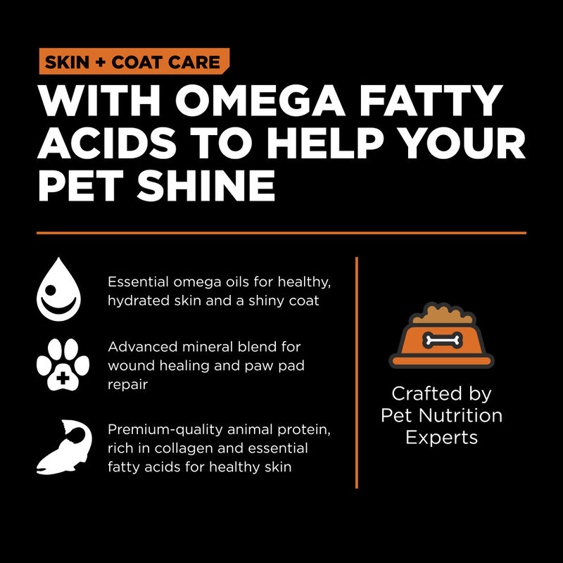 Go! Solutions Skin + Coat Care Dry Dog Food, Salmon & Grains image number null