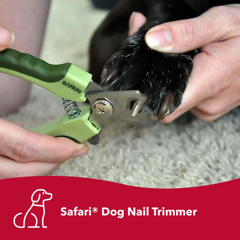 Safari Nail Trimmer for Dogs, Standard image number null