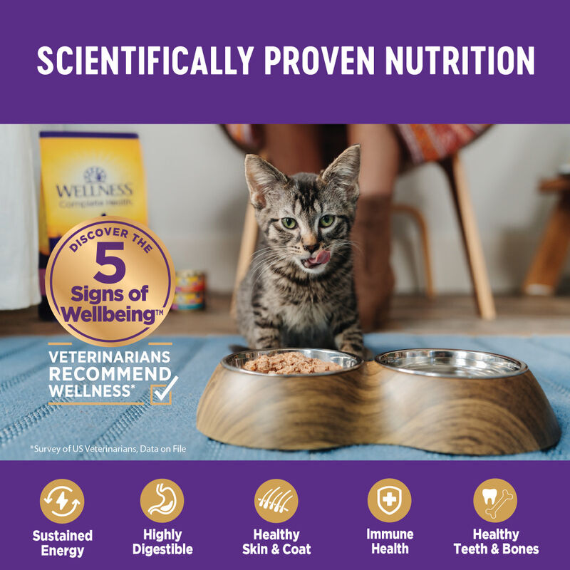 Wellness Complete Health Pate Canned Cat Food, Turkey & Salmon image number null