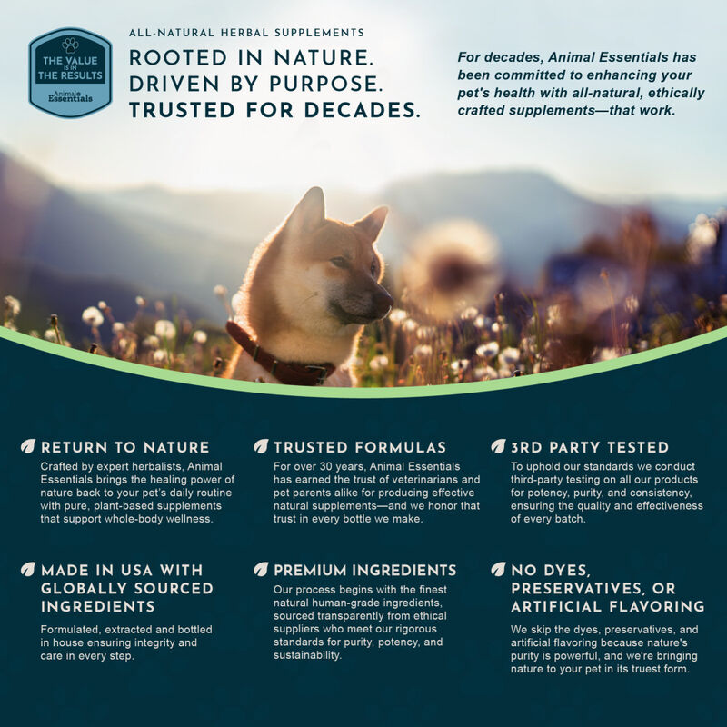 Animal Essentials Tranquility Blend Herbal Dog & Cat Supplement, 1-oz image number null