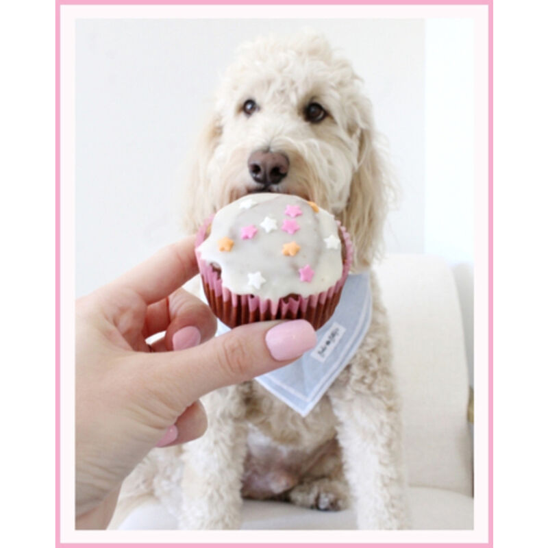 The Bear & The Rat Barley's Bakes Dog Cupcake Mix, Bone Broth, 9-oz image number null