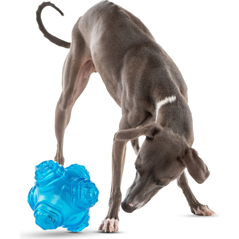 Guru Pet Company Puzzle Jack Dog Toy, Medium image number null