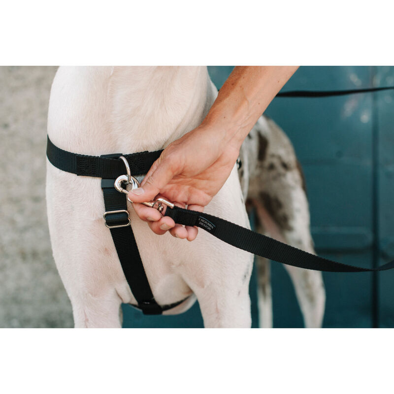 2 Hounds Design Freedom No-Pull Dog Harness, Black image number null