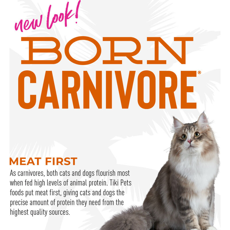 Tiki Cat Born Carnivore Dry Cat Food, High Protein, Chicken & Egg image number null