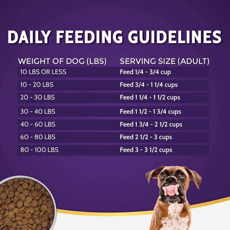 Zignature Limited Ingredient Dry Dog Food, Salmon image number null