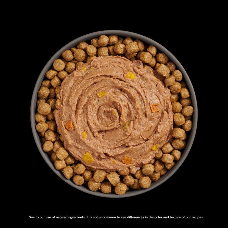 Go! Solutions Booster Wet Cat Food, Digestive Health, Tuna & Salmon Pate, 2.5-oz image number null