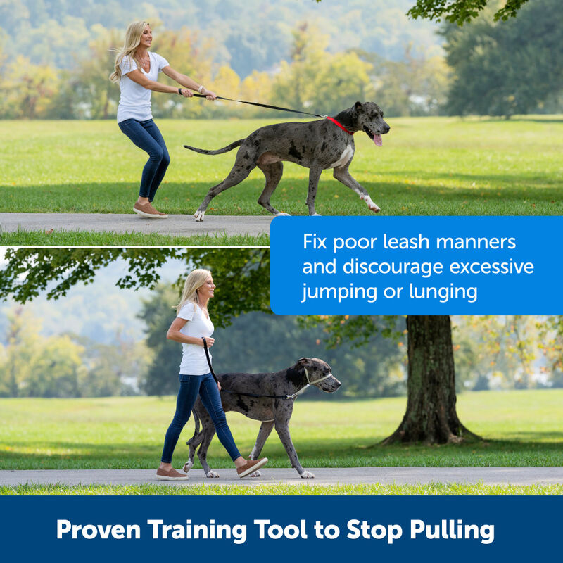 PetSafe Gentle Leader No-Pull Dog Headcollar, Black image number null