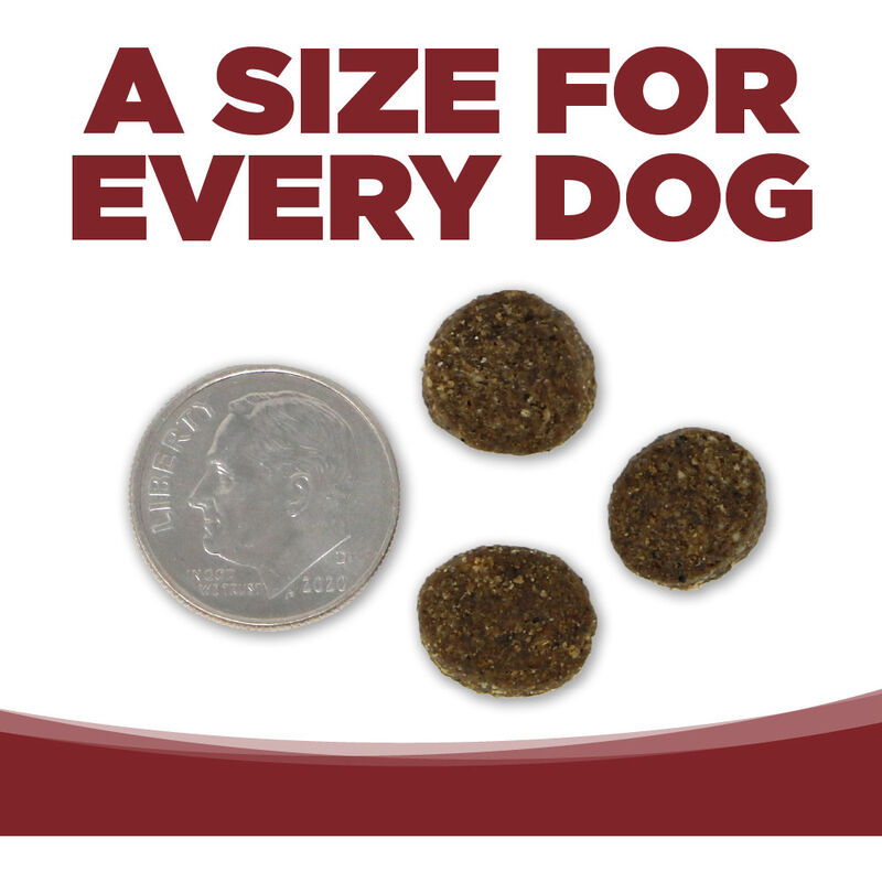 PureVita Limited Ingredient Grain Inclusive Dry Dog Food, Beef & Kale image number null