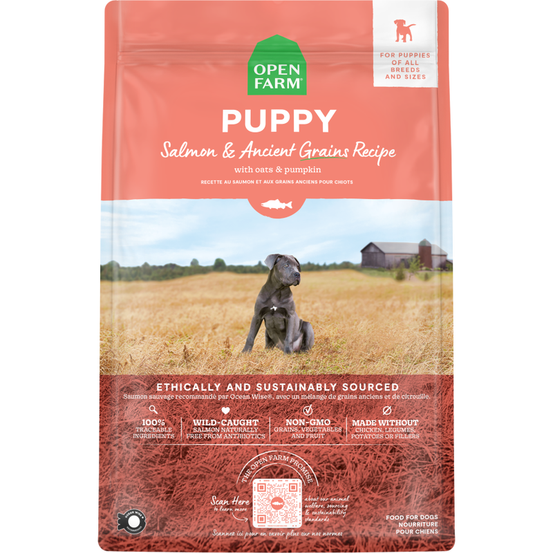 Open Farm Ancient Grains Dry Dog Food, Puppy, Salmon image number null