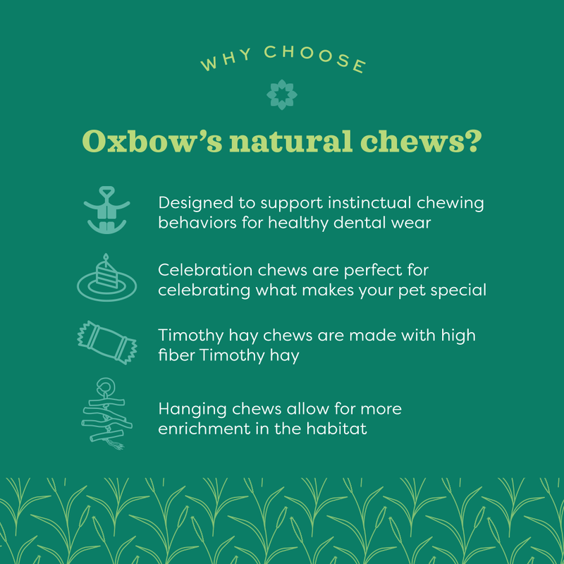 Oxbow Enriched Life Small Animal Chew Toy, Celebration Cupcake image number null