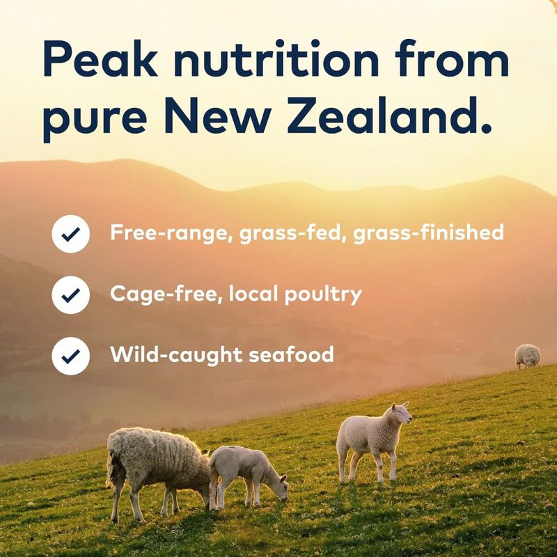 ZIWI Peak Original Series Canned Dog Food, Lamb, 6-oz image number null