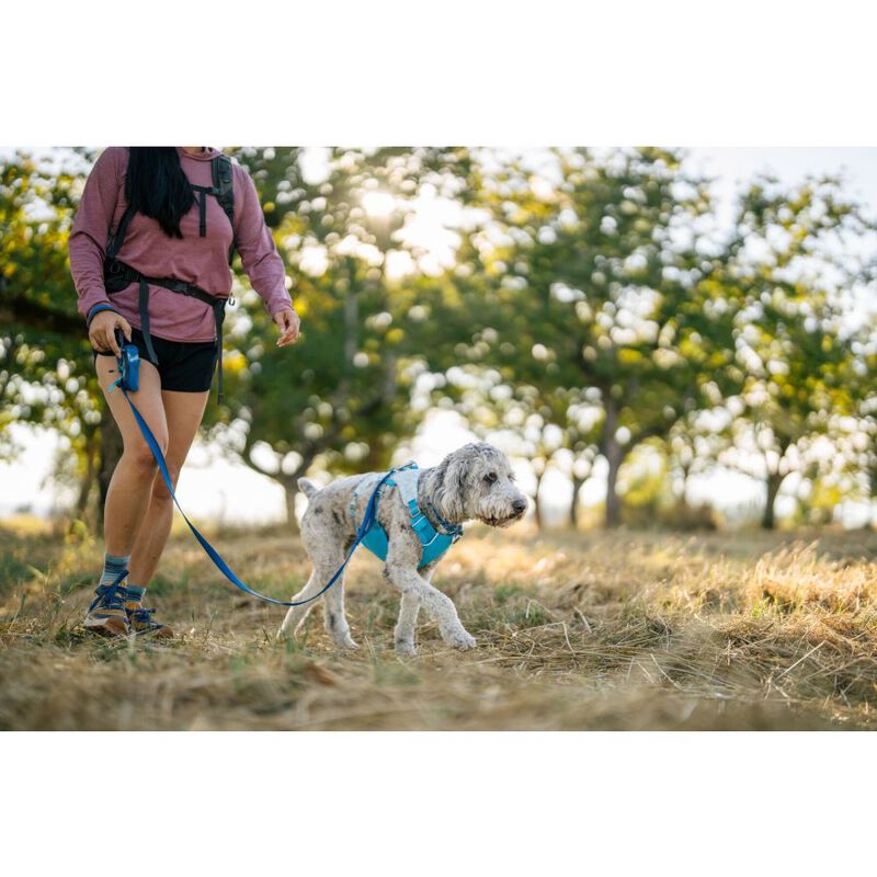 Ruffwear Swamp Cooler Dog Cooling Harness, Biolumin Blue image number null