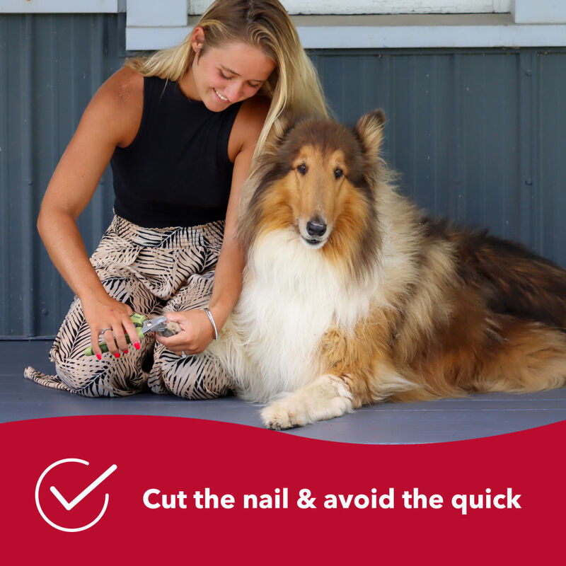 Safari Nail Trimmer for Dogs, Standard image number null