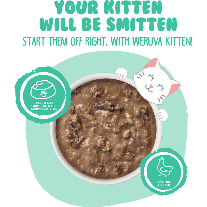 Weruva Kitten Canned Cat Food, Chicken & Tuna in Gravy, 3-oz image number null