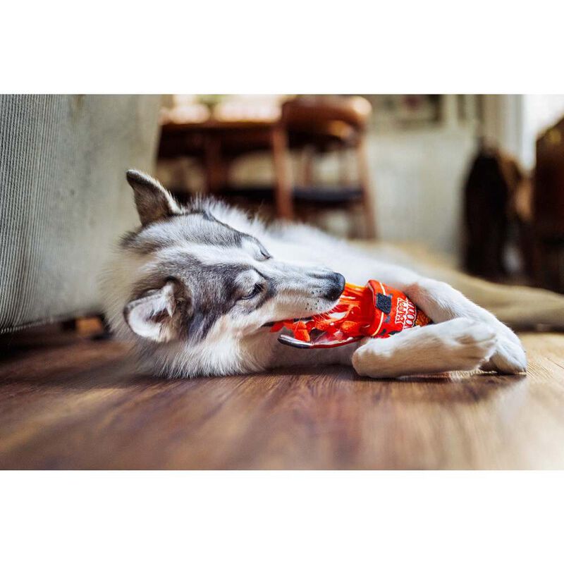 P.L.A.Y. International Classic Slurp It Up Dog Toy image number null