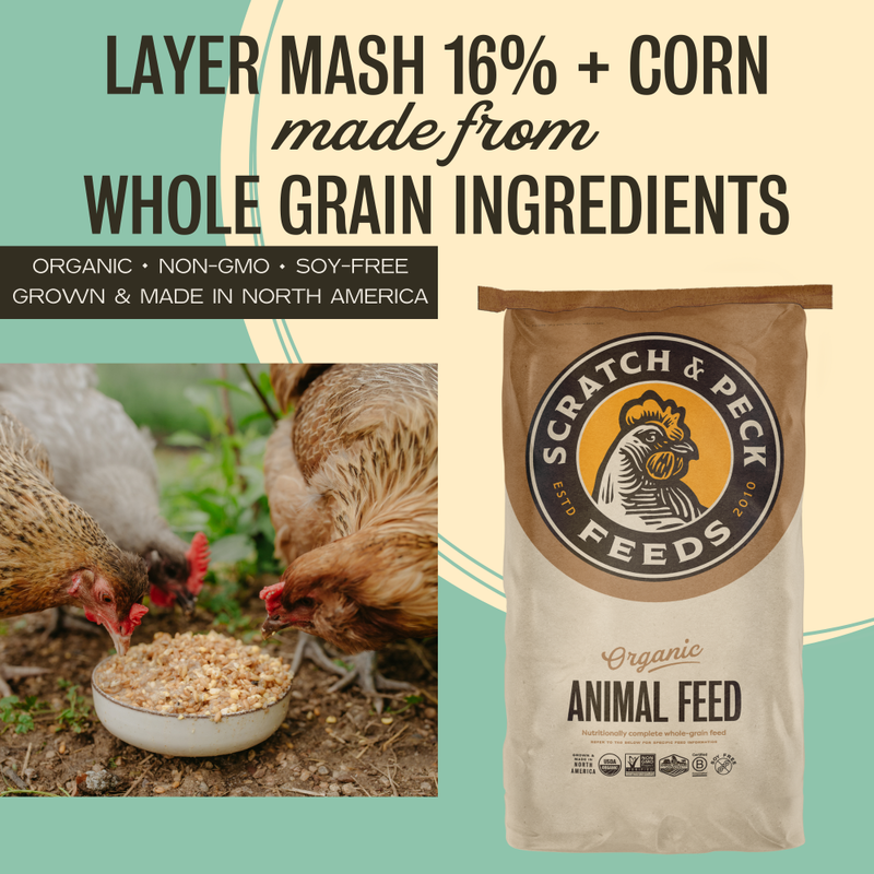 Scratch and Peck Feeds Organic Chicken & Duck Feed, Layer Mash 16% + Corn, 40-lb image number null
