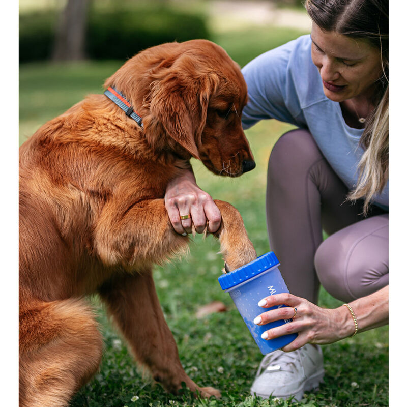 Dexas Popware for Pets MudBuster Portable Dog Paw Cleaner, Blue, Medium image number null