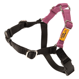 Dolan's Dog Doodads Wonder Walker Body Halter Dog Harness, Rose