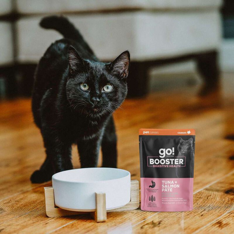 Go! Solutions Booster Wet Cat Food, Digestive Health, Tuna & Salmon Pate, 2.5-oz image number null