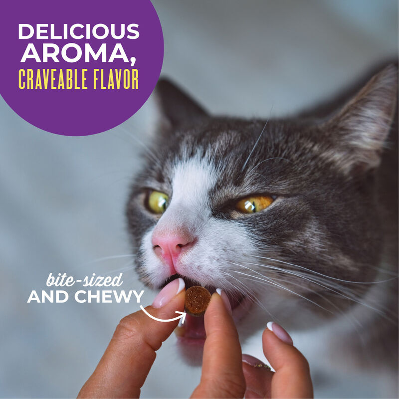 Tiki Cat Soft & Chewy Cat Treats, Chicken, 6-oz image number null