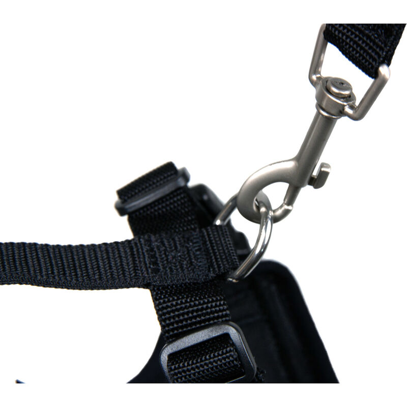 RC Pets Adventure Kitty Harness, Raspberry image number null