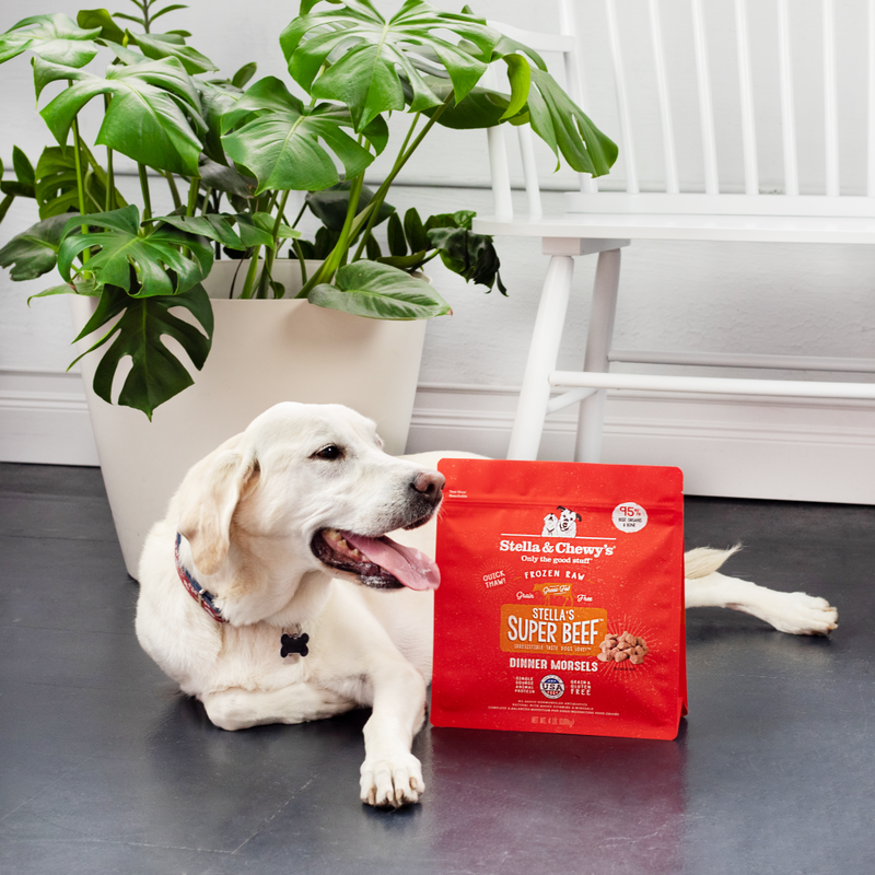 Stella & Chewy's Dinner Morsels Raw Frozen Dog Food, Stella's Super Beef, 4-lb image number null