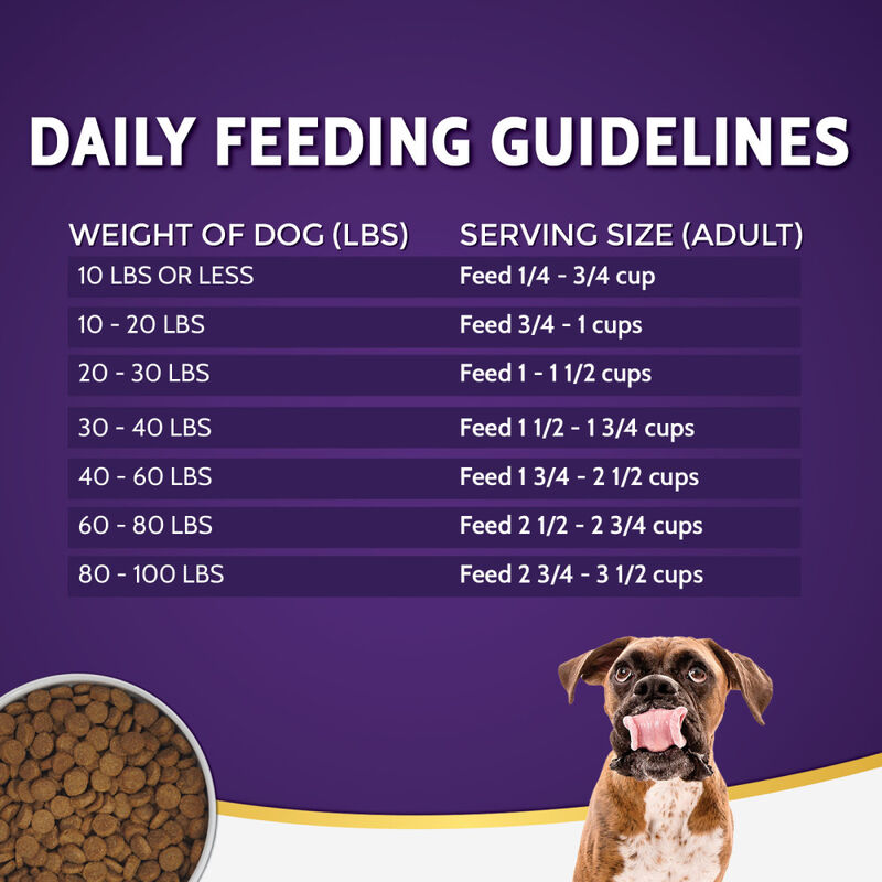 Zignature Limited Ingredient Dry Dog Food, Duck image number null