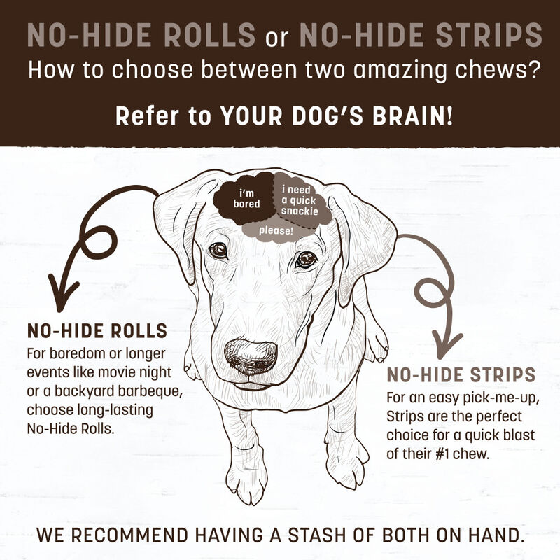 Earth Animal No-Hide Roll Dog Treat, Beef image number null