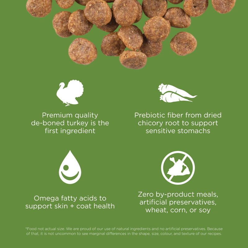 Go! Solutions Sensitivities Limited Ingredient Dry Dog Food, Turkey image number null