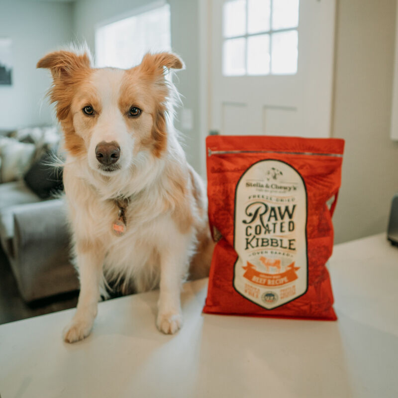 Stella & Chewy's Raw Coated Grain-Free Dry Dog Food, Beef image number null