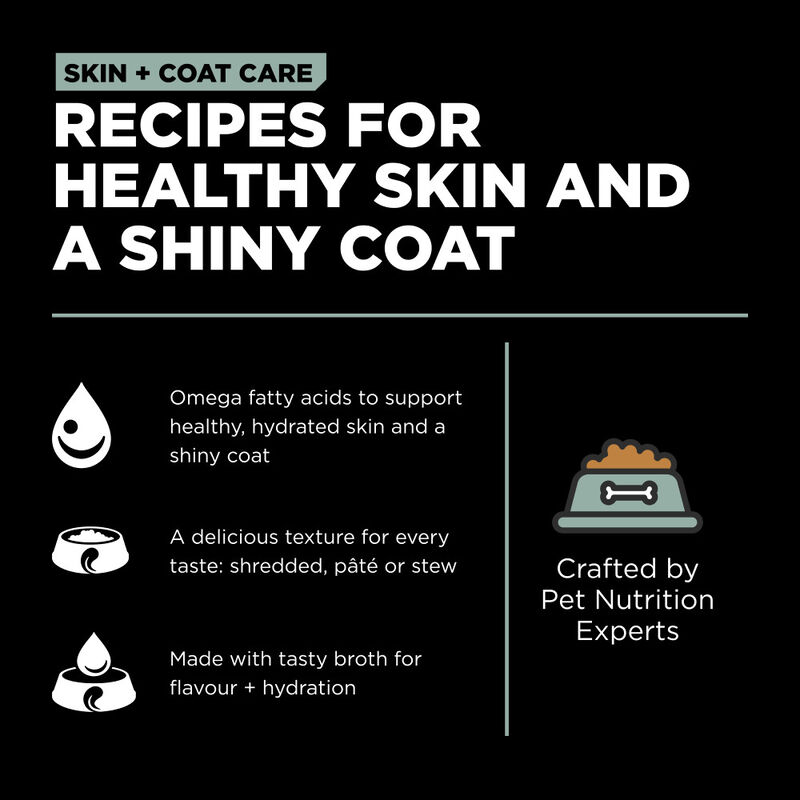 Go! Solutions Skin + Coat Care Wet Dog Food, Turkey Salmon & Grains Pate image number null