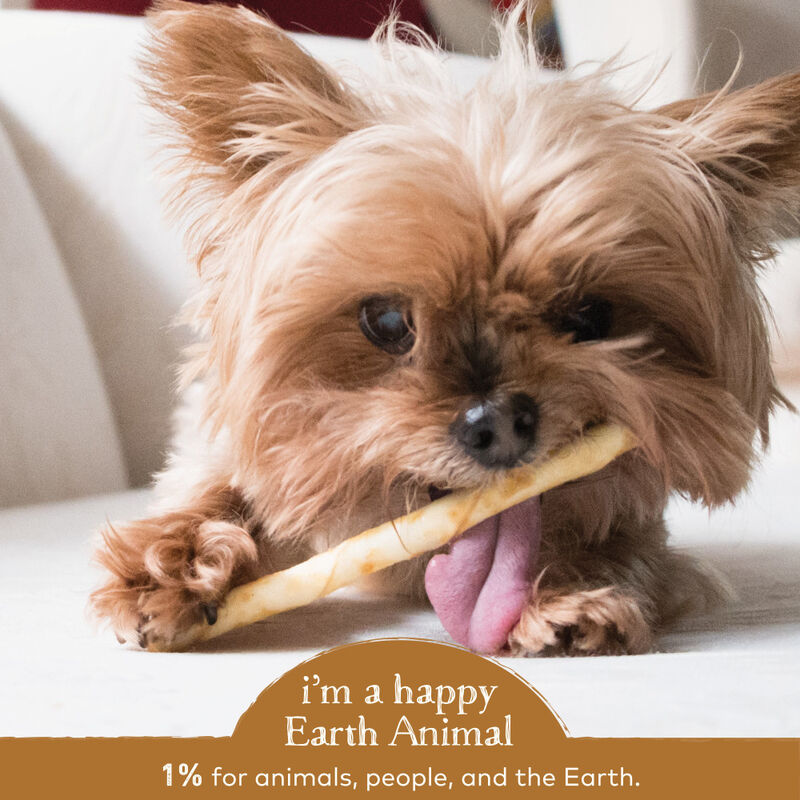 Earth Animal No-Hide Stix Dog Treat, Venison, 10-pack image number null