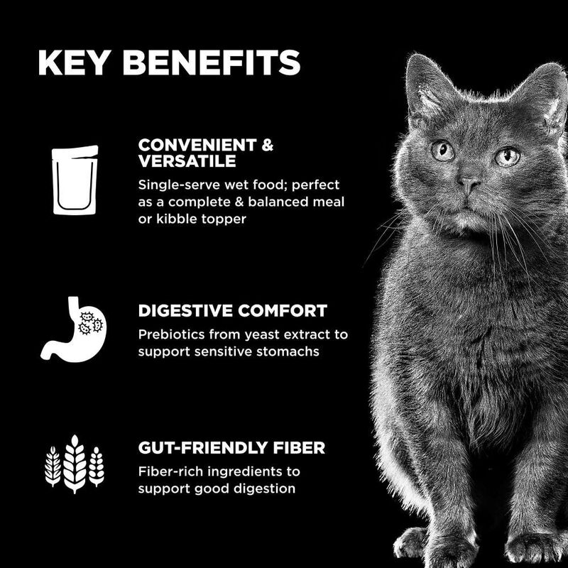 Go! Solutions Booster Wet Cat Food, Digestive Health, Tuna & Salmon Pate, 2.5-oz image number null