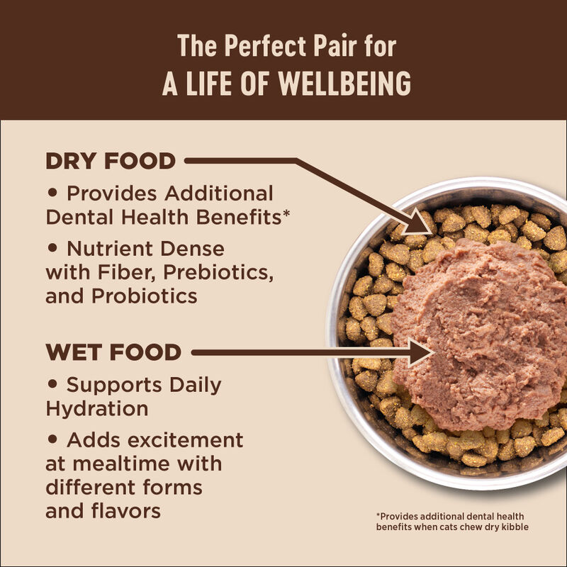 Wellness CORE Grain-Free Dry Cat Food, Original Turkey & Chicken, 5-lb image number null