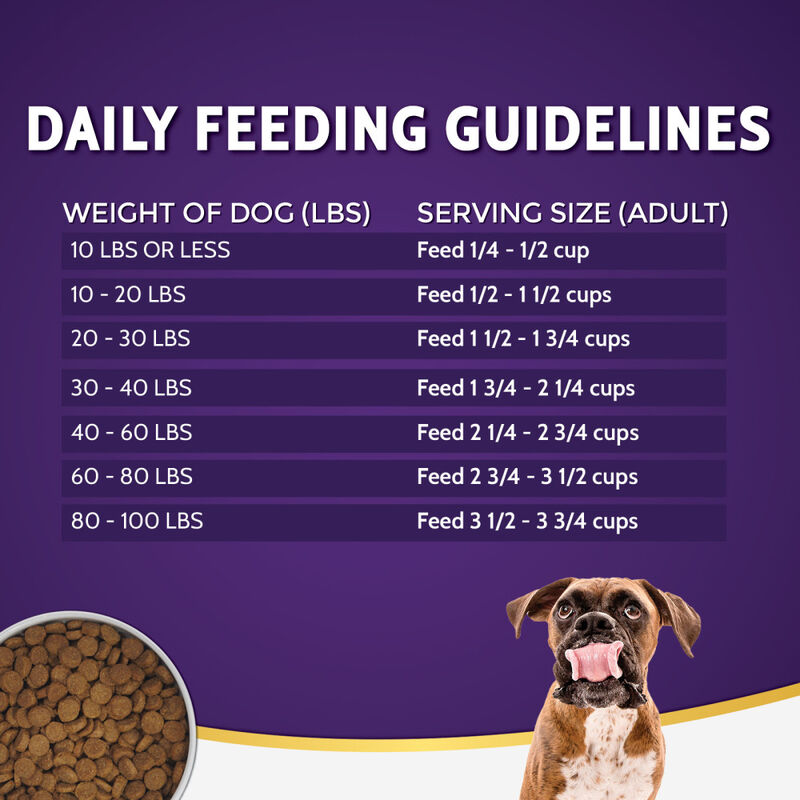 Zignature Limited Ingredient Dry Dog Food, Venison image number null
