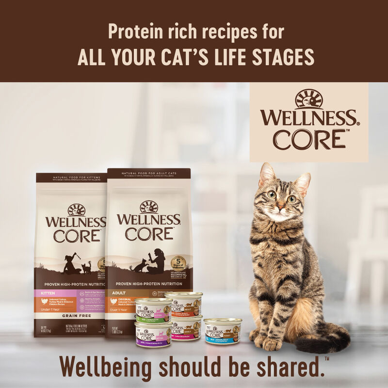 Wellness CORE Grain-Free Dry Cat Food, Original Turkey & Chicken, 5-lb image number null