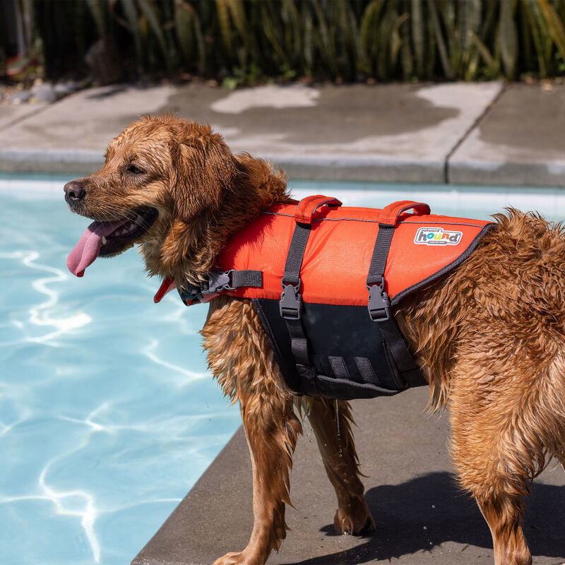 Outward Hound Granby Splash Dog Life Jacket, Orange image number null