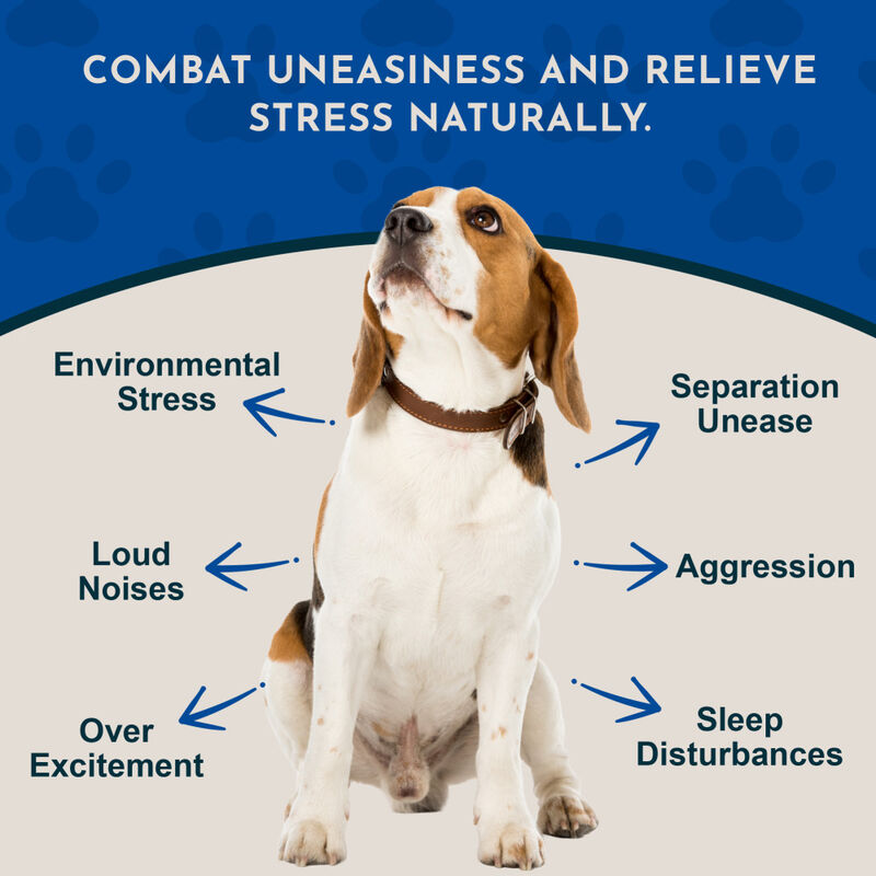 Animal Essentials Tranquility Blend Herbal Dog & Cat Supplement, 1-oz image number null