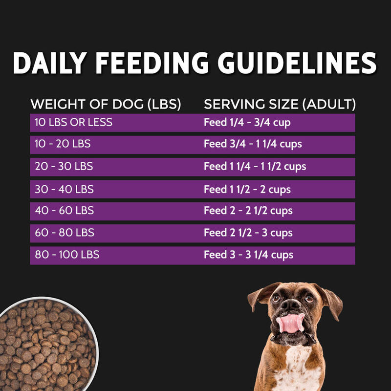 Zignature Select Cuts Dry Dog Food, Lamb image number null