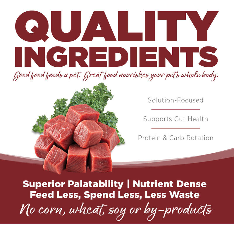 PureVita Limited Ingredient Grain Inclusive Dry Dog Food, Beef & Kale image number null
