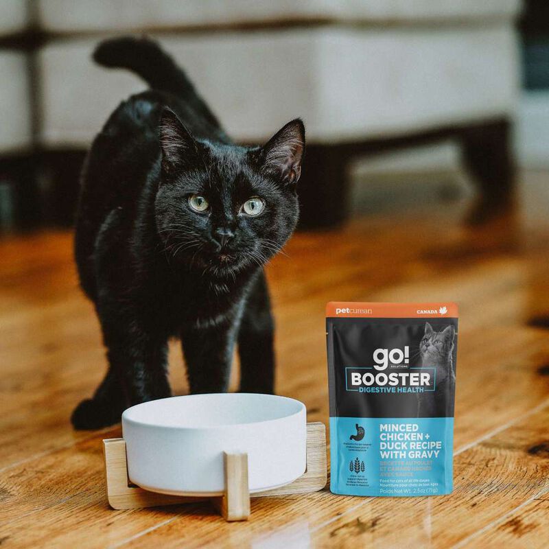 Go! Solutions Booster Wet Cat Food, Digestive Health, Minced Chicken & Duck with Gravy, 2.5-oz image number null